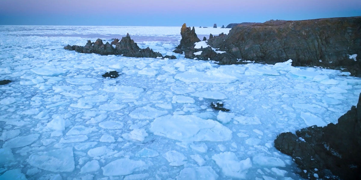 frozen ocean shorline